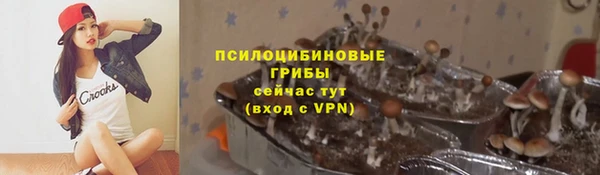 прущие крисы Осинники