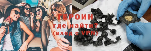 гашик Няндома