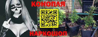 гидра Кандалакша