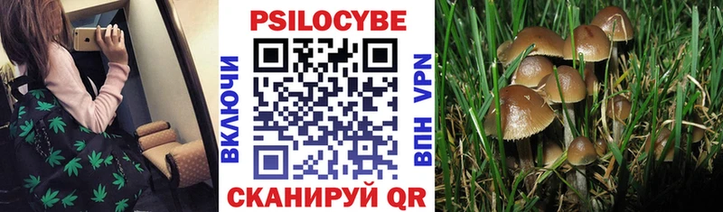 Псилоцибиновые грибы Magic Shrooms  Северск 