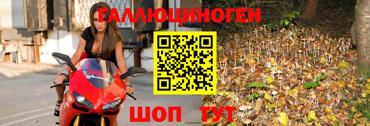 Псилоцибиновые грибы прущие грибы  Северск 