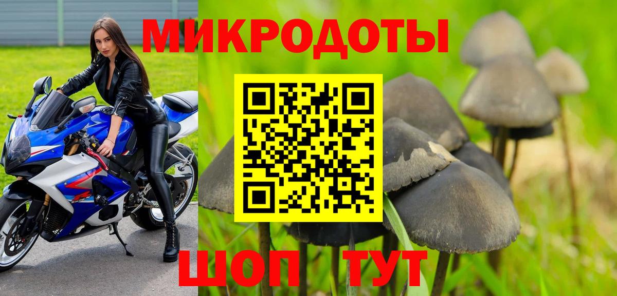 Псилоцибиновые грибы Psilocybe  Вход с VPN  Галлюциногенные грибы мухоморы  Северск 