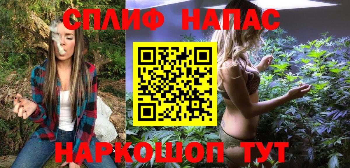 Конопля White Widow  Северск  МАРИХУАНА MAZAR  Шишки марихуана White Widow 